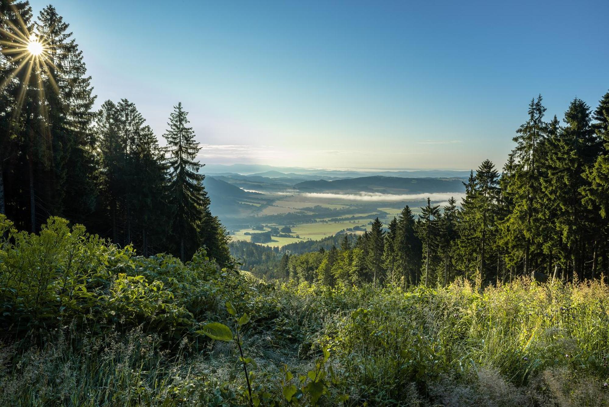 "Penzion Na Bukove Hore" - Apartmanovy Dum, Horsky Resort Bukova Hora Червена-Вода Екстер'єр фото